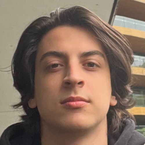 Developer